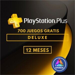 Plus Deluxe 12 meses